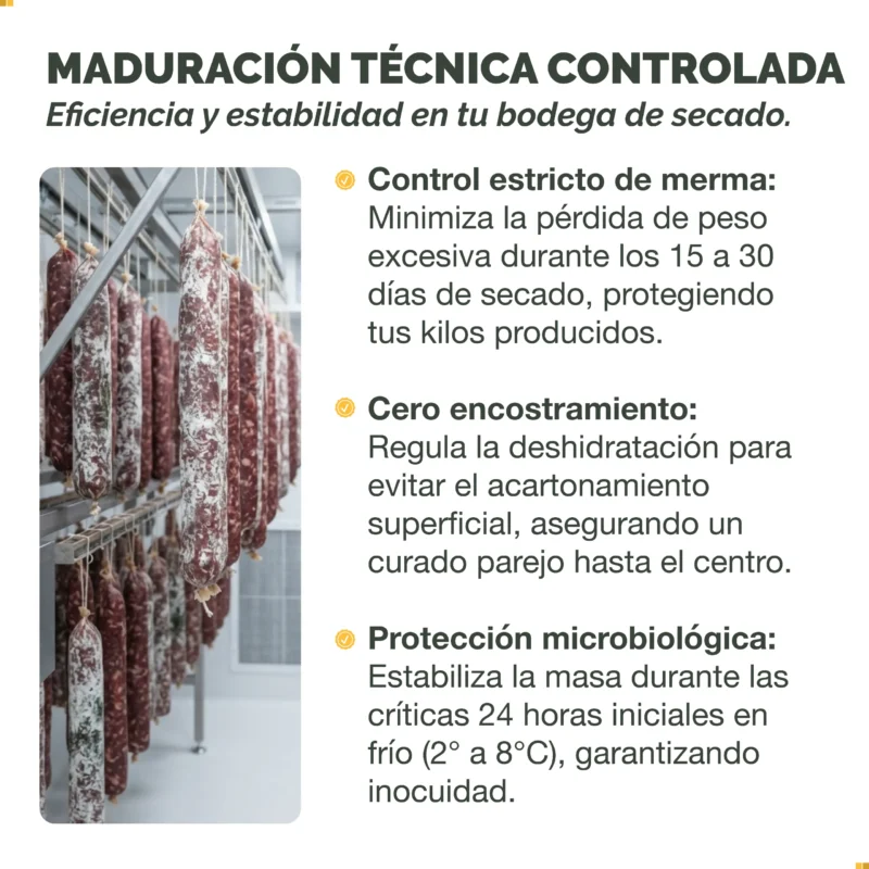 Oliblend Chorizos